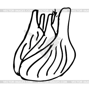 Fennel - vector clip art