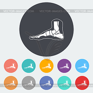 Foot anatomy icon - color vector clipart