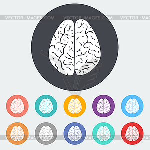 Brain - vector clipart