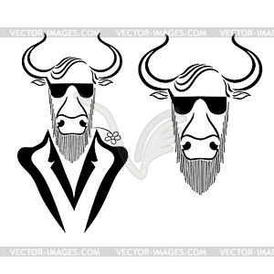 Set bull in jacket with chamomile in teeth and - vector clip art