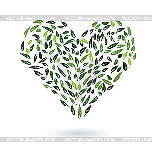 Heart of green leaves - vector clip art