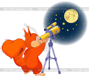 Squirrel astronomer - vector image