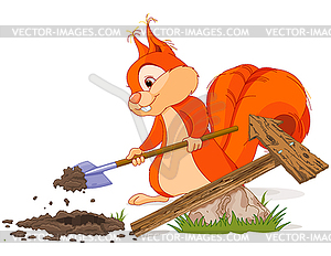 Squirrel sets sign - vector clip art