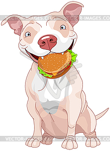 Pit Bull собака ест гамбургер - векторный графический клипарт