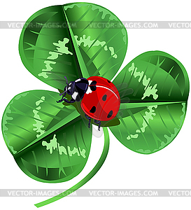 St. Patrick Day Three Leafed Clover and ladybug - vector clipart