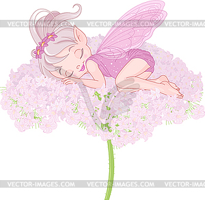 Sleeping Pixy Fairy - vector clipart