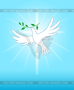 Dove - vector image