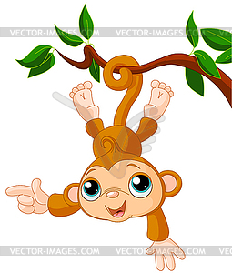 Baby monkey on tree - vector image