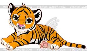 Baby tiger - vector image