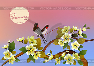 Evening in the garden blooming cherry and birds sing - vector image