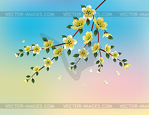 Sakura .Evening in the garden blooming cherry and birds - vector image