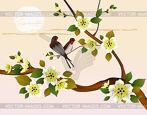 Sakura .Evening in the garden blooming cherry - vector clipart