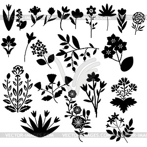 Flowers Set - stock vector clipart