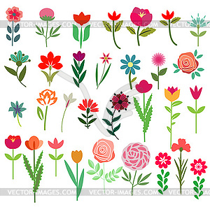 Flowers set - vector image