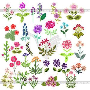 Flowers set - vector image