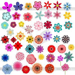 Flowers set - vector clip art