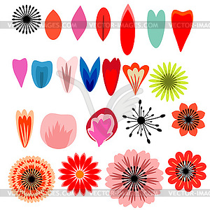 Flowers and petals set - vector image