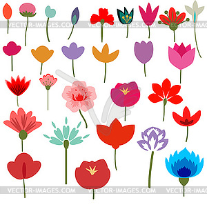 Flowers set - vector image