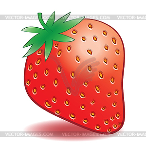 Ripe strawberries - vector clipart