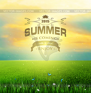 Summer, Field, Sky, Sun, Grass, Flower And - vector clipart