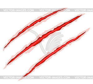 Claw scratches - vector image