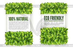 Banners with green leaves - vector image