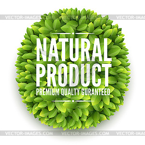 Banner with green leaves - vector clip art