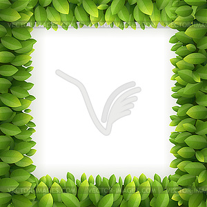 Leaves frame - vector image