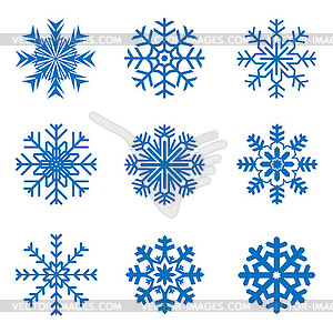 Frosty snowflakes - vector image