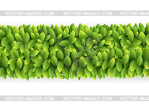 Fresh green leaves line - vector image