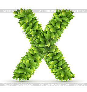 Letter X, alphabet of green leaves - vector clip art