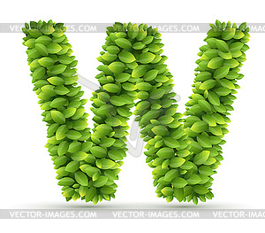 Letter W, alphabet of green leaves - vector clipart