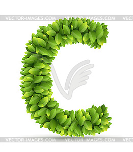 Letter C, alphabet of green leaves - vector clipart / vector image