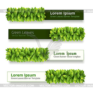 Banner with green leaves - vector clipart