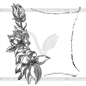 Floral background flower frame - white & black vector clipart