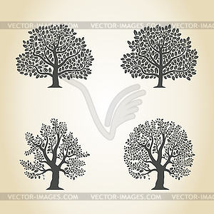 Oak - vector clipart