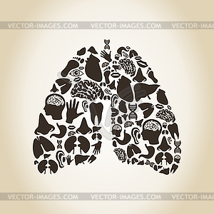 Lungs - vector image