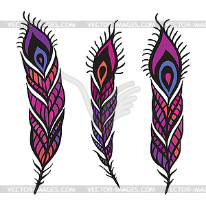 Peacock Feather set - vector clip art