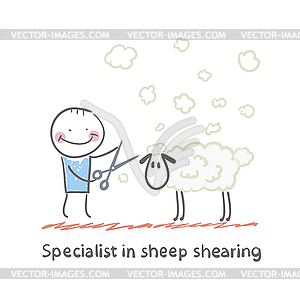 Specialist sheep shearing - vector clip art