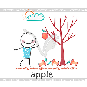 Man stands with tree on which apples - royalty-free vector clipart