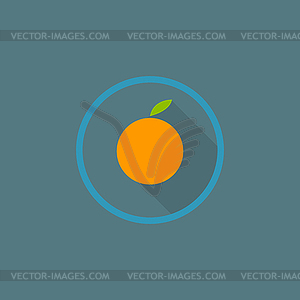 Orange icon - vector image