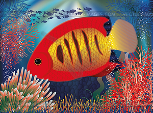 Underwater wallpaper with red tropical fish, vector - vector clip art