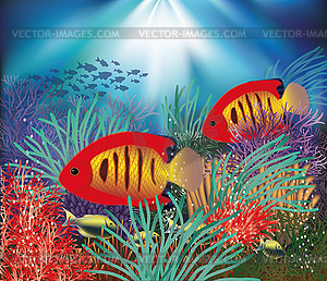 Underwater wallpaper with tropical fish, vector  - vector clipart