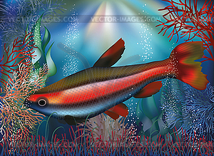 Underwater wallpaper tropical fish, vector - vector image