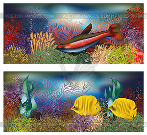 Underwater banners with tropical fish, vector  - vector image