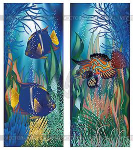 Underwater banners and tropicals fish, vector - vector clipart