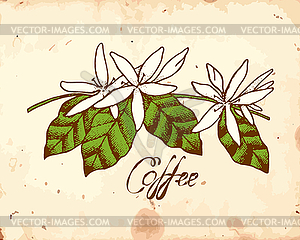 Кофе Цветы - векторный клипарт