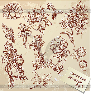 Set of Vintage Realistic graphic flowers - images - vector clipart