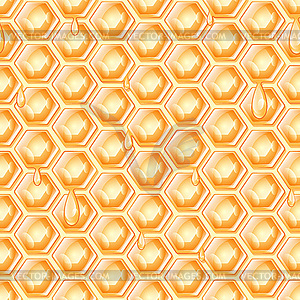 Honey honeycomb - vector clipart