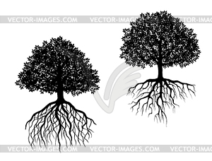 Trees with roots - vector image